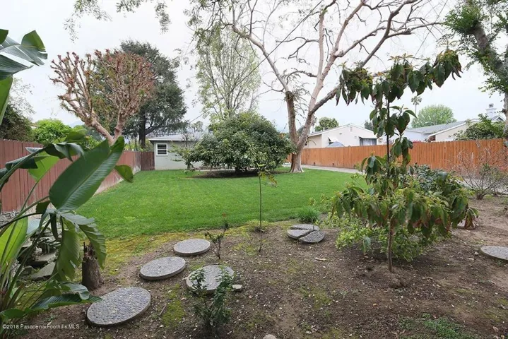 rear yard 2