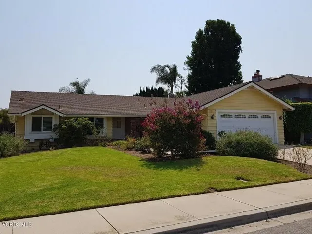 flora vista ave