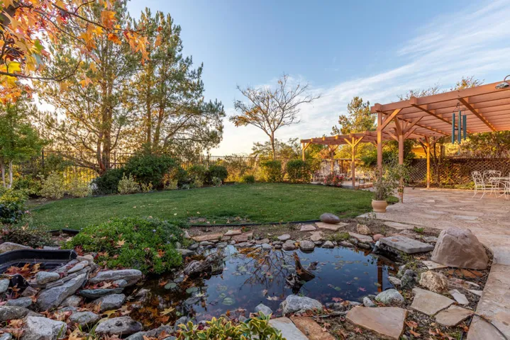 44879_Fern_Circle-1080-HDR_Web