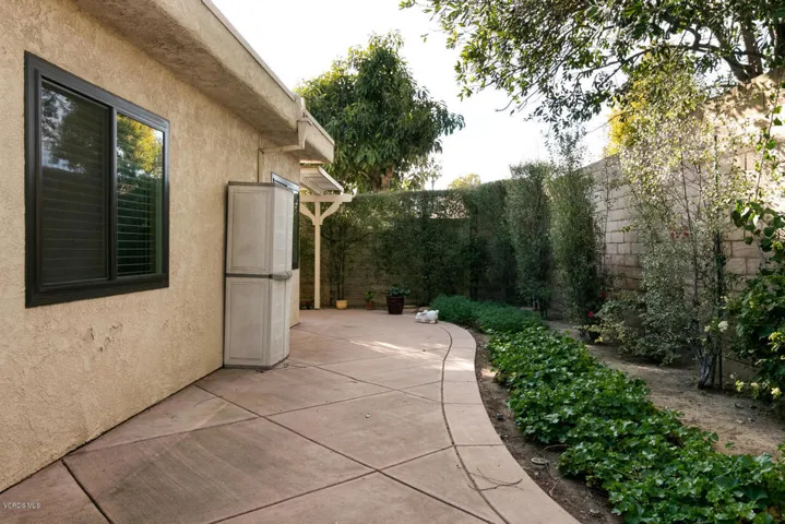 2391 Placita San Leandro-024-023-Back Ya