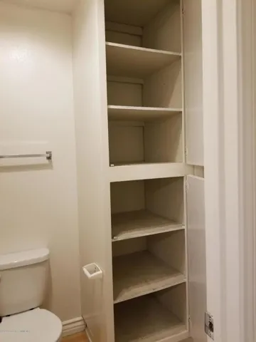 Bathroom closet open