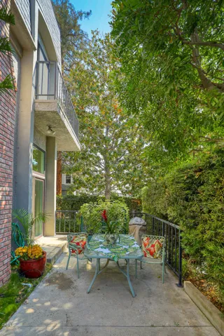 Patio View
