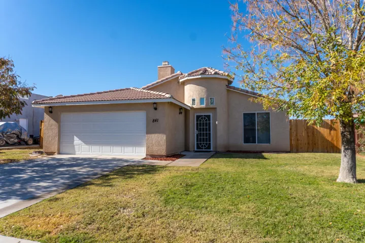 _DSC2061