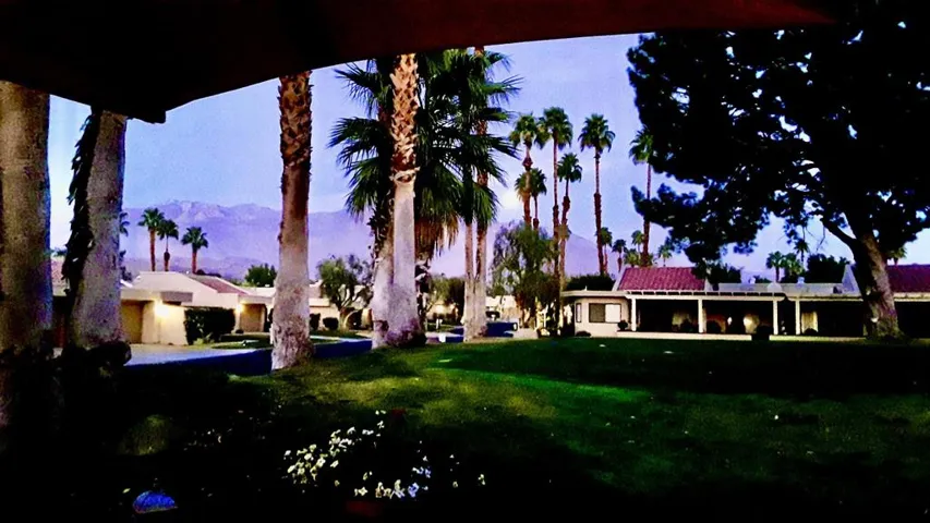 West Facing Patio
