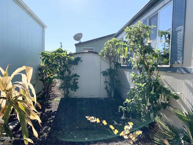 Side Area & Shed 1a
