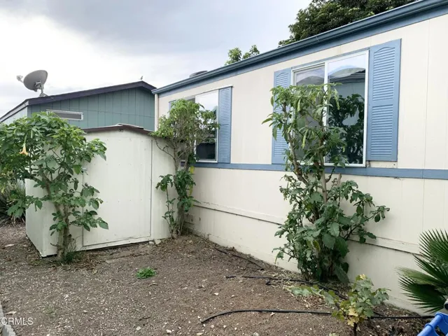 Side Area & Shed