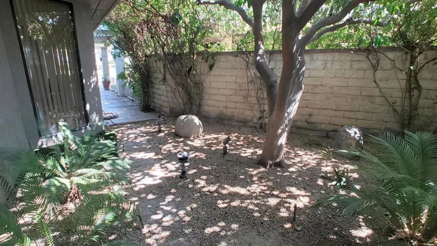 Side Yard View3