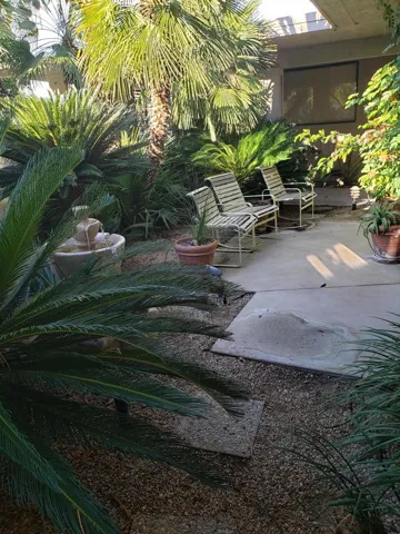 Side Yard View1
