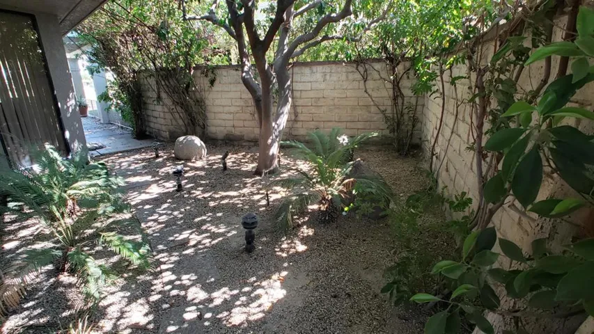 Side Yard View4