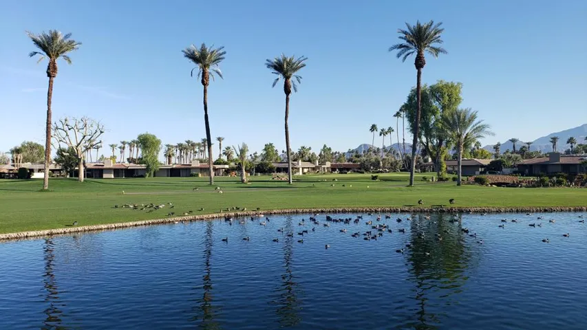 Backyard View1