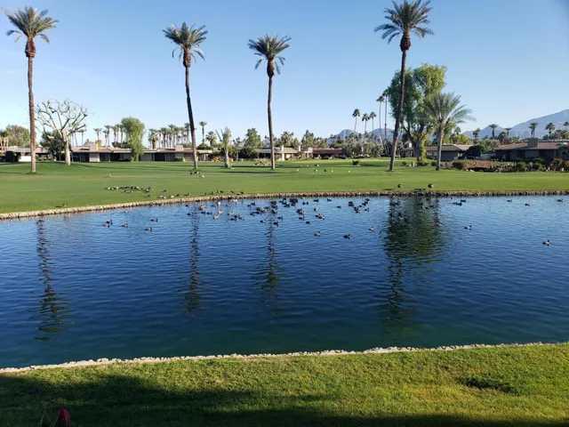Backyard View2