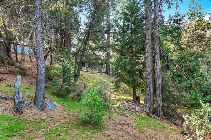 110 Weisshorn Drive, Crestline, California 92325