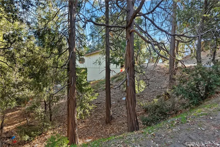 110 Weisshorn Drive, Crestline, California 92325