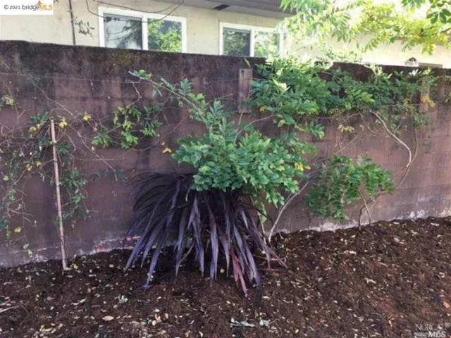 1301 King St, Santa Rosa, California 95404
