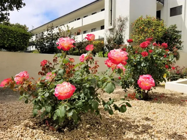 500 Glenwood Circle 322, Monterey, California 93940