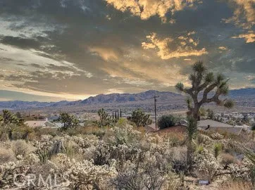 6760 Juniper Road, Joshua Tree, California 92252