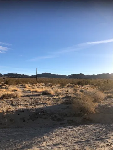 0 Chollita, Joshua Tree, California 92252
