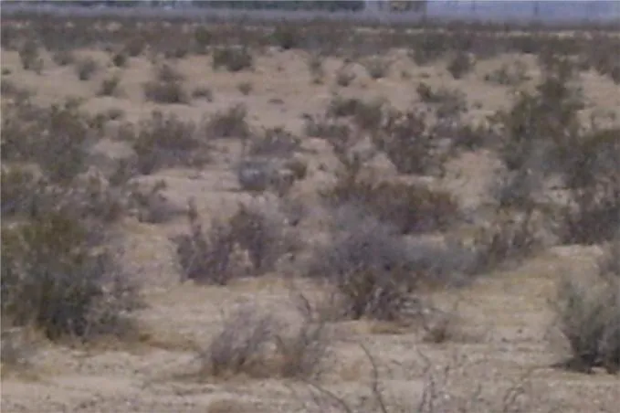 46016 Manix Road, Newberry Springs, California 92365 home-pic-10