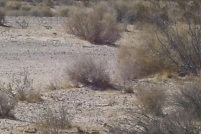 46016 Manix Road, Newberry Springs, California 92365 home-pic-6