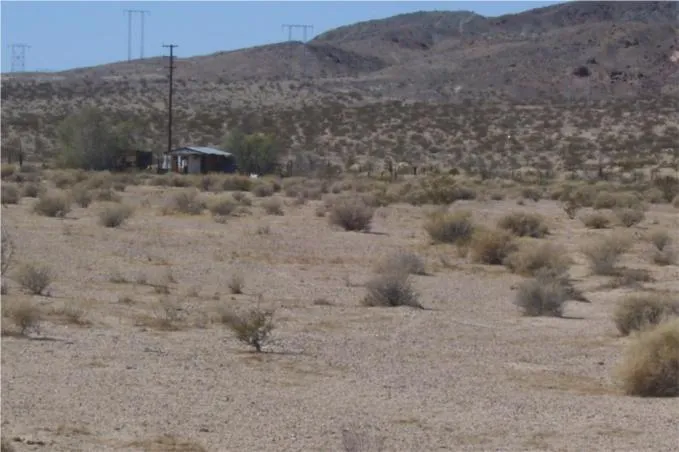 46016 Manix Road, Newberry Springs, California 92365 home-pic-4