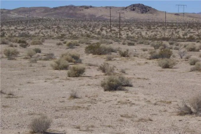 46016 Manix Road, Newberry Springs, California 92365 home-pic-3