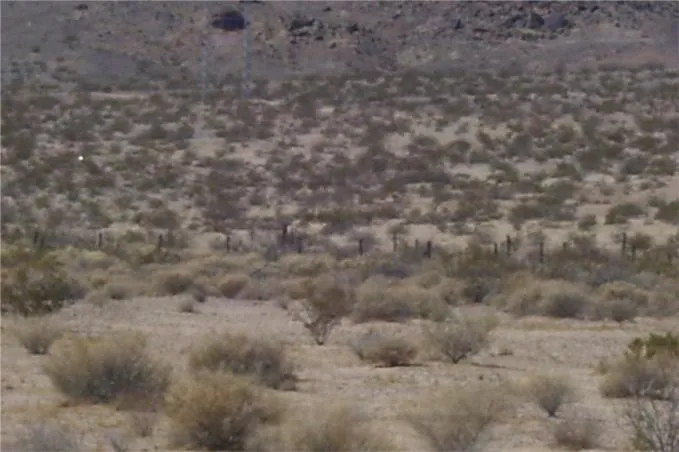 46016 Manix Road, Newberry Springs, California 92365 home-pic-7