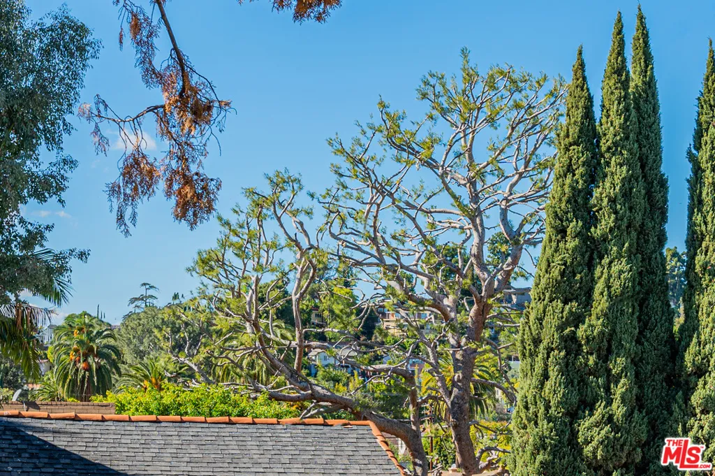 2146 Beachwood Terrace, Los Angeles, California 90068 home-pic-45