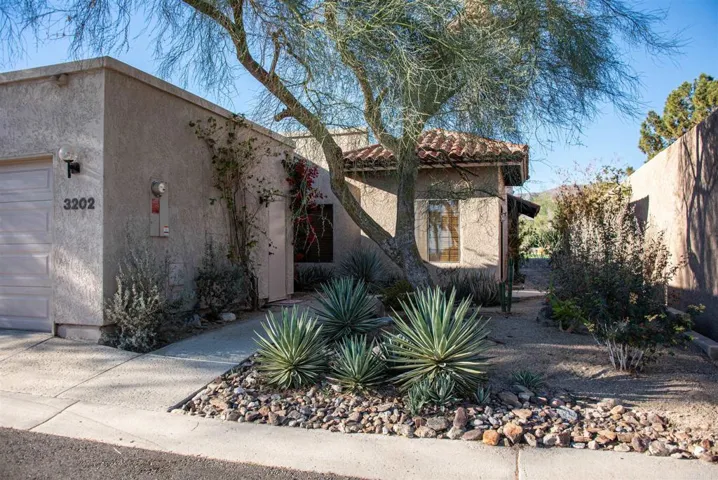 3202 Roadrunner Drive S, Borrego Springs, California 92004