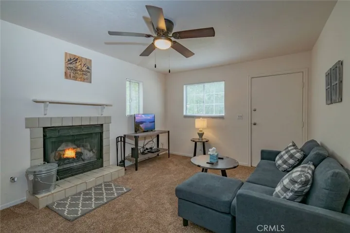 40110 Mahanoy Lane, Big Bear, California 92315