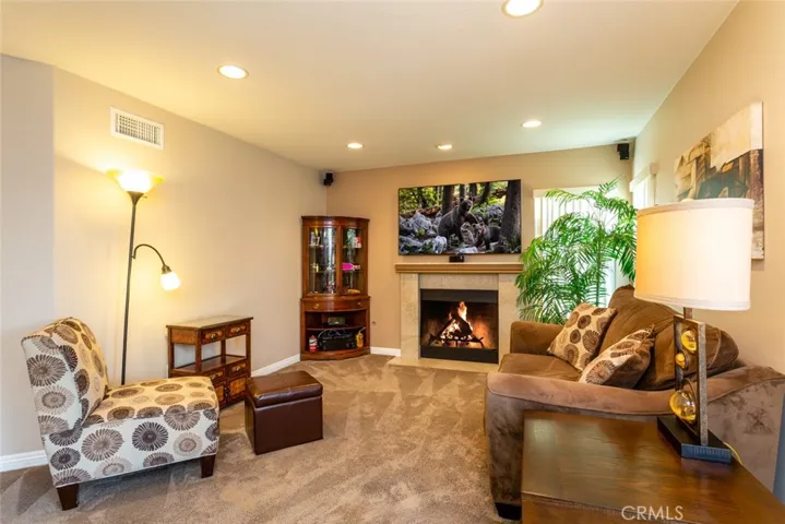 967 S Hanlon Way, Anaheim Hills, California 92808