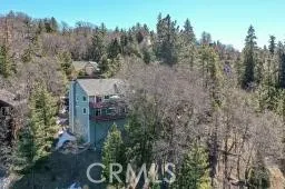 Drone shot of House Trees will be full of leaves soon.