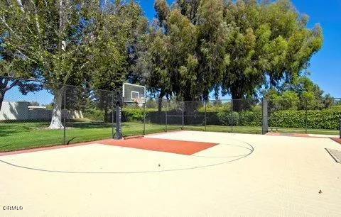 Basketball court