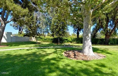 Park