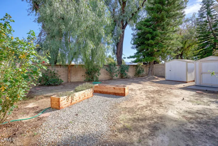 Back yard