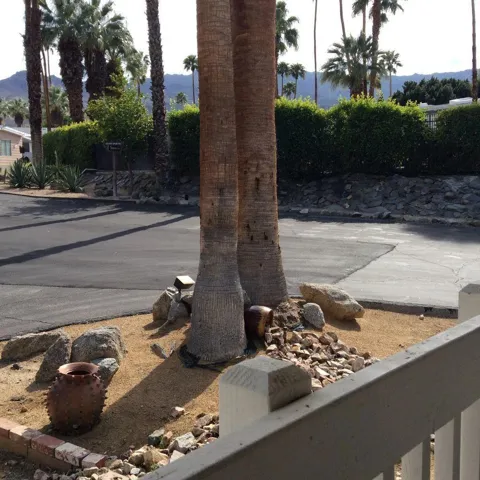 One View from Deck