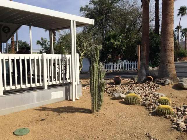 Side Yard