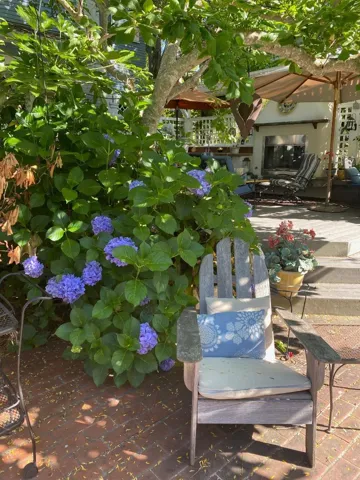 765 University Avenue, Palo Alto, California 94301