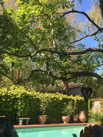 765 University Avenue, Palo Alto, California 94301