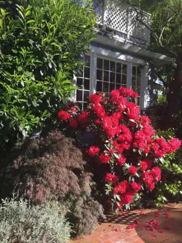 765 University Avenue, Palo Alto, California 94301