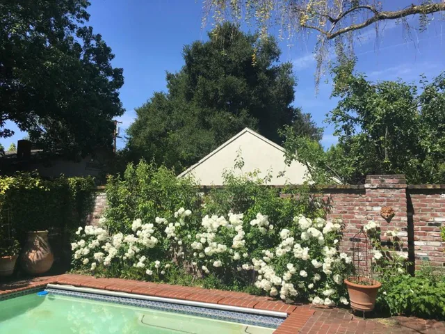 765 University Avenue, Palo Alto, California 94301