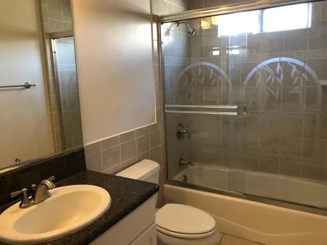Jack and Jill Bathroom - Downstairs