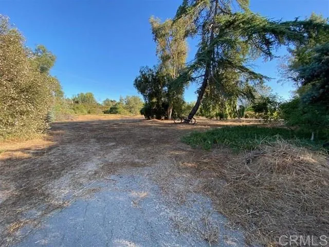 6405 Paseo Delicias, Rancho Santa Fe, California 92067