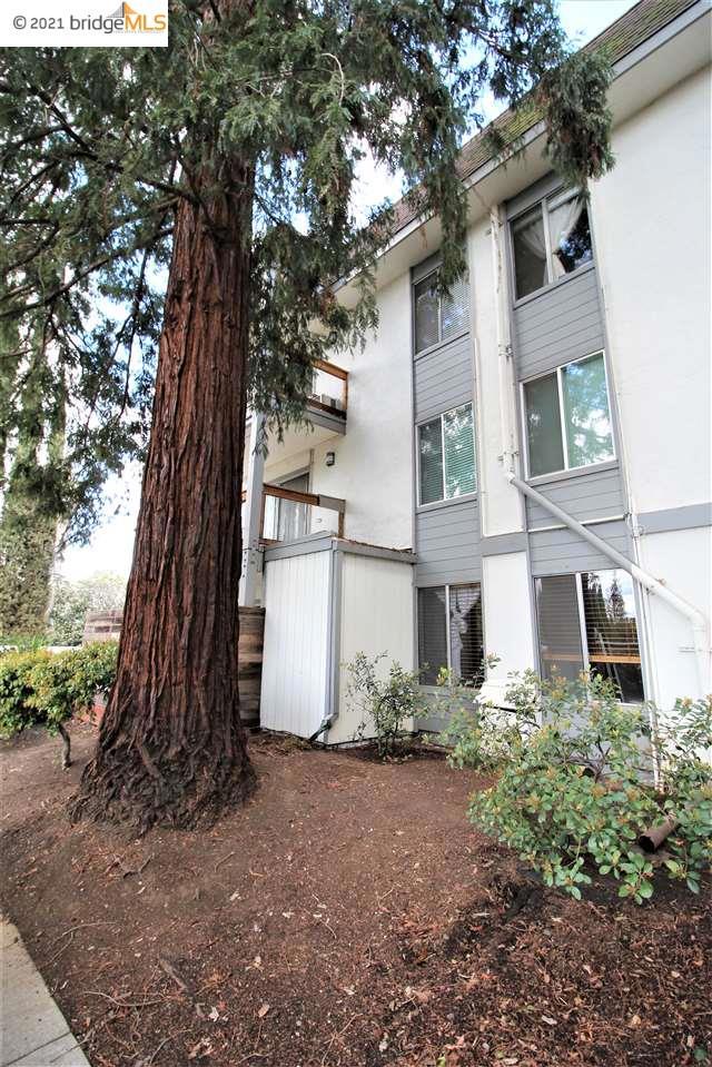 4081 Clayton Rd Unit 338, Concord, California 94521 home-pic-29