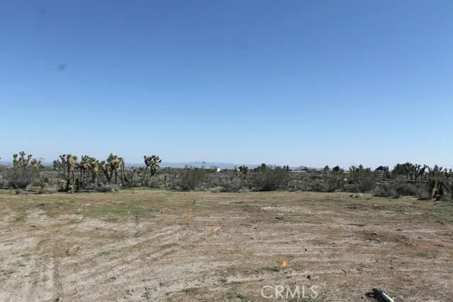 12033 Mountain Road, Pinon Hills, California 92372