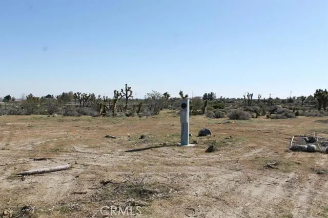 12033 Mountain Road, Pinon Hills, California 92372