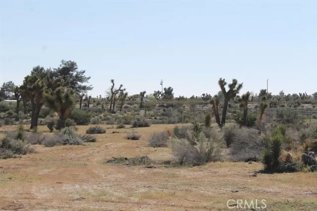 12033 Mountain Road, Pinon Hills, California 92372