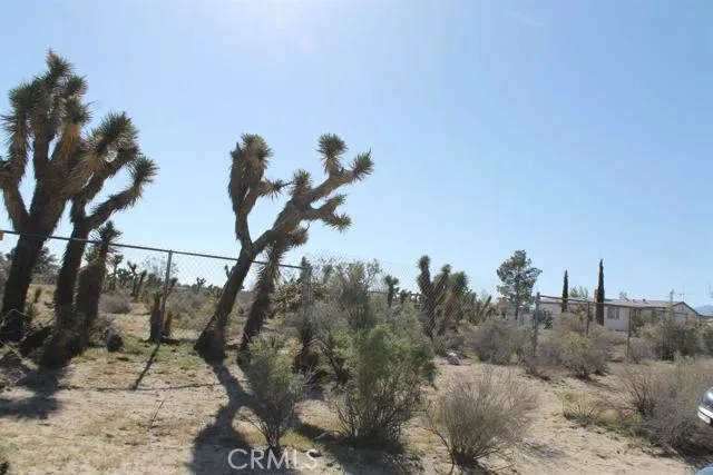 12033 Mountain Road, Pinon Hills, California 92372