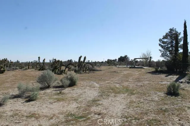 12033 Mountain Road, Pinon Hills, California 92372
