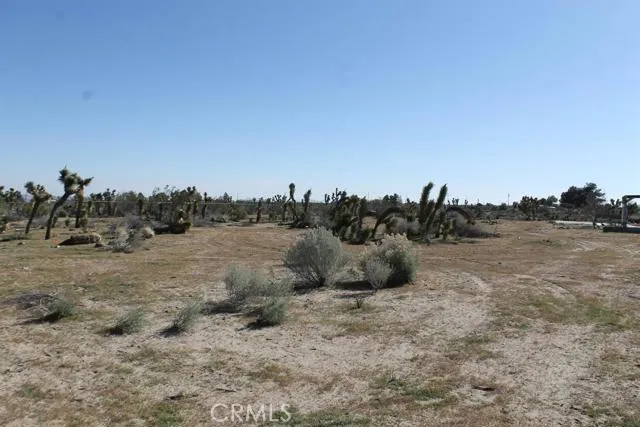 12033 Mountain Road, Pinon Hills, California 92372