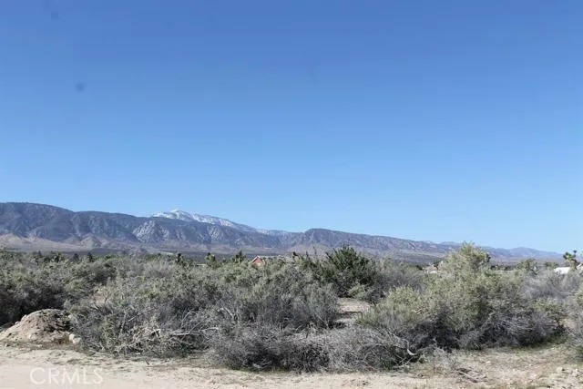 12033 Mountain Road, Pinon Hills, California 92372